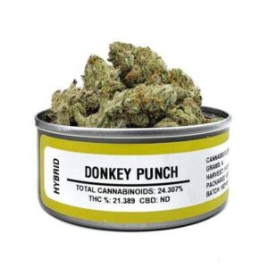 Donkey Punch Space Monkey