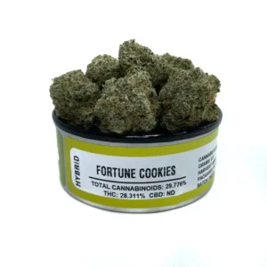 Fortune Cookies Space Monkey