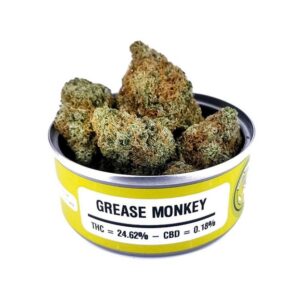 Grease Monkey Space