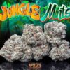 Jungle Mints