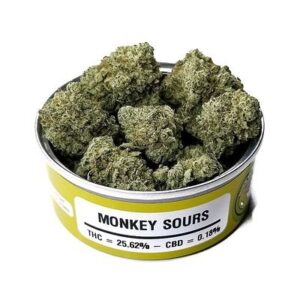 Monkey Sours Space