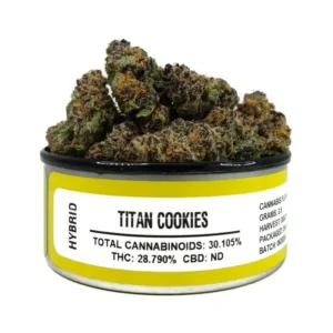 Titan Cookies Space Monkey